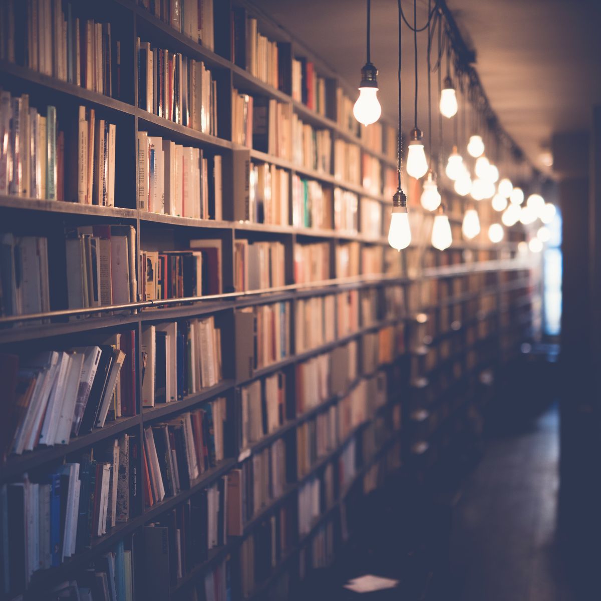 Quiet Evenings Novel Collection (E-book) — second view